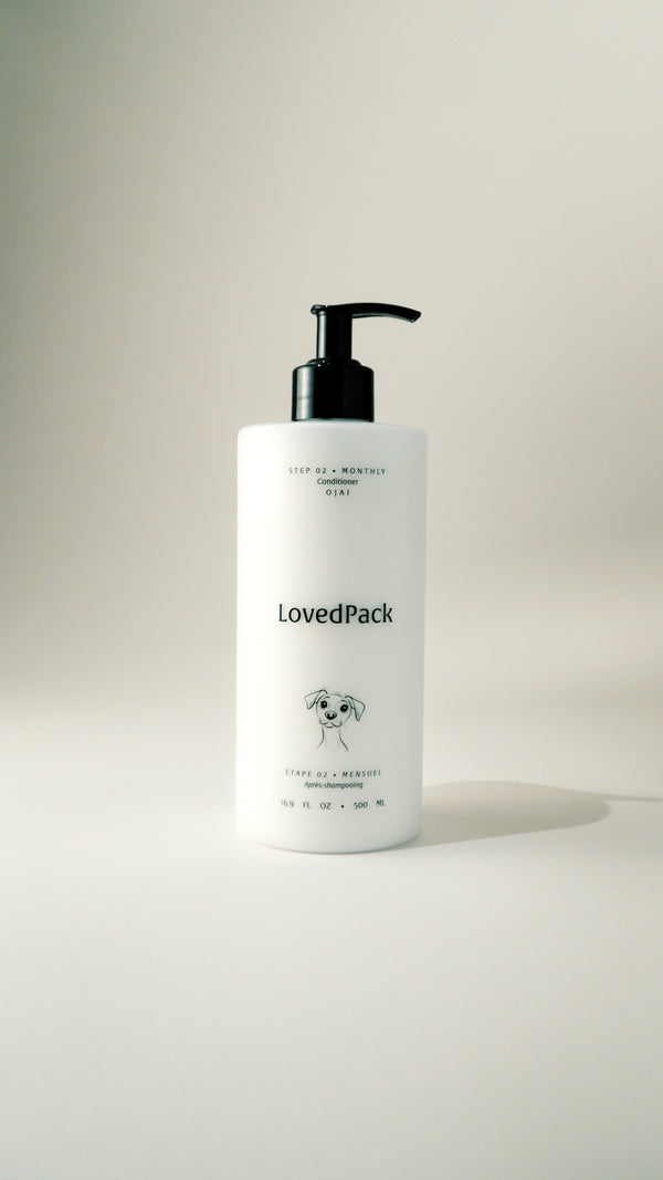 THE CONDITIONER