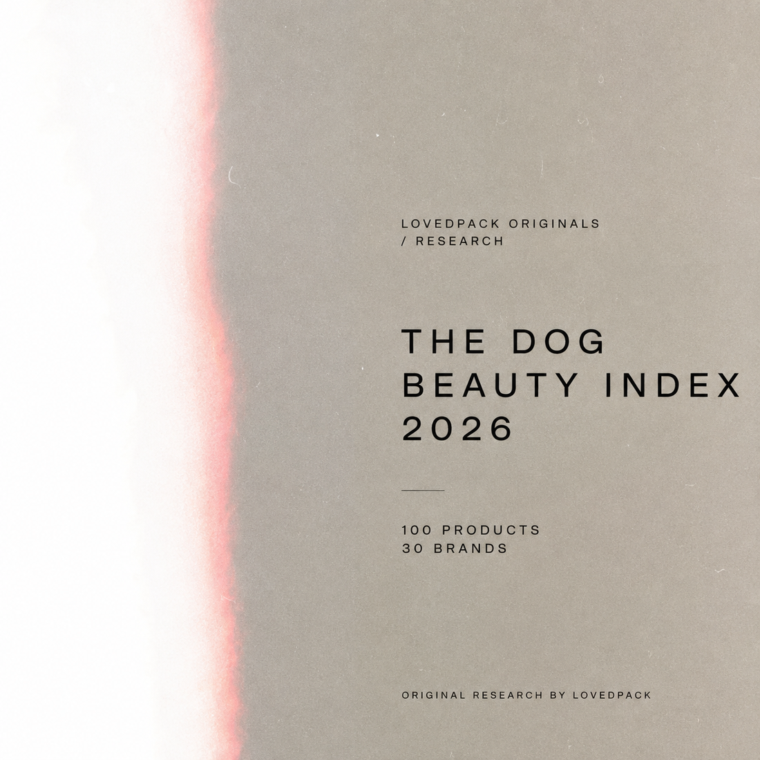 What Dog Beauty Looks Like in 2026