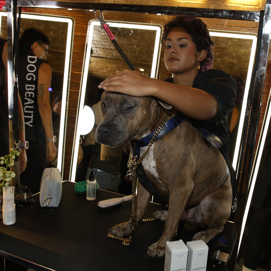 LovedPack Backstage at New York Fashion Week