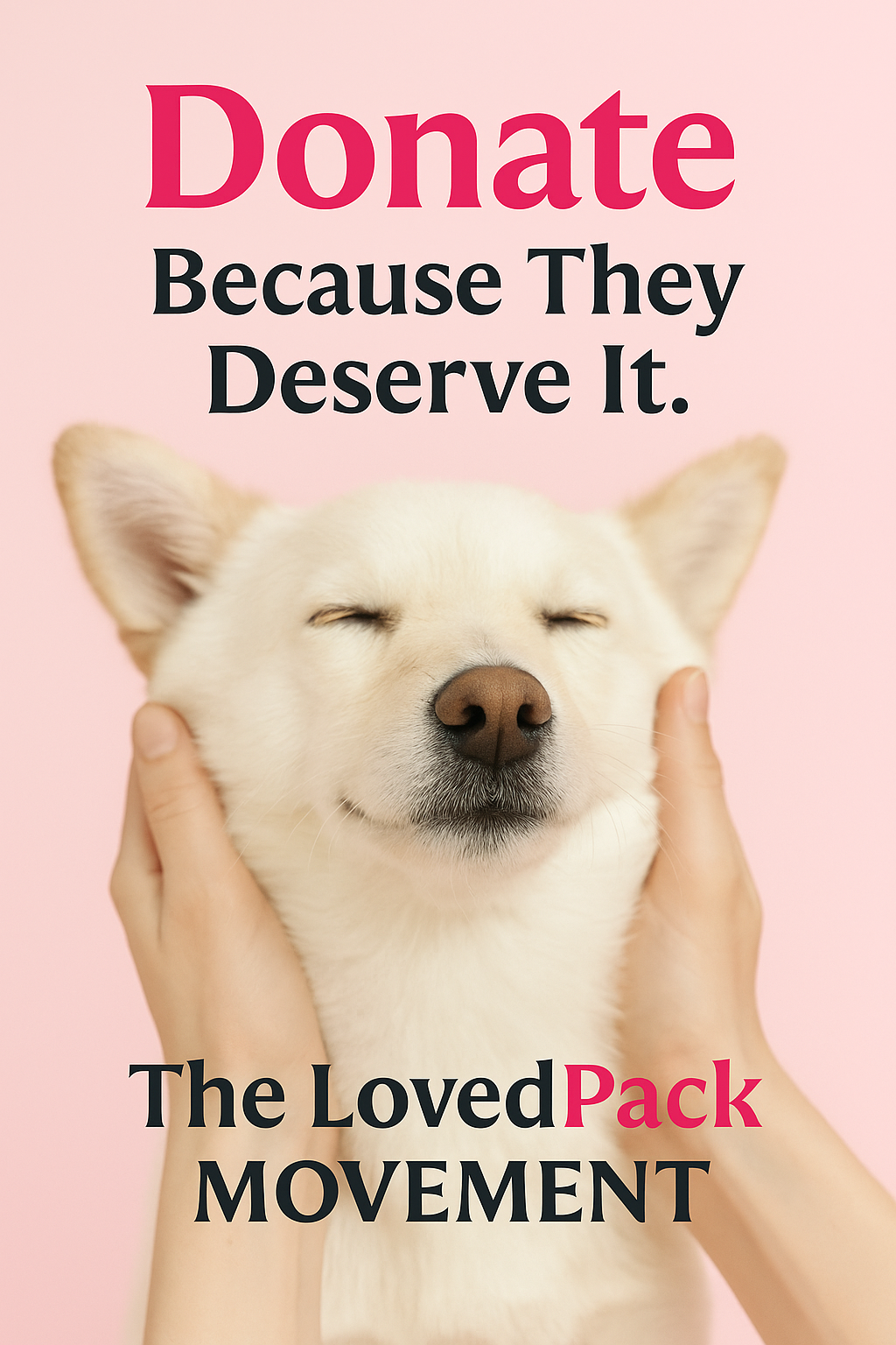 support-a-shelter-dog-with-a-donation