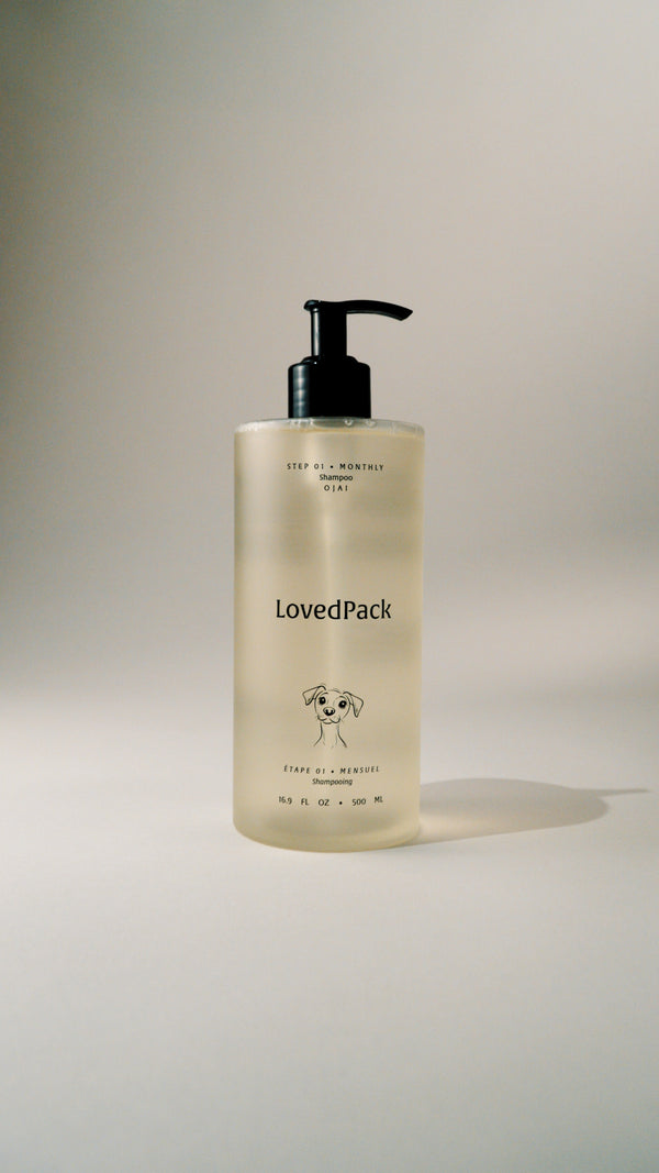 THE SHAMPOO