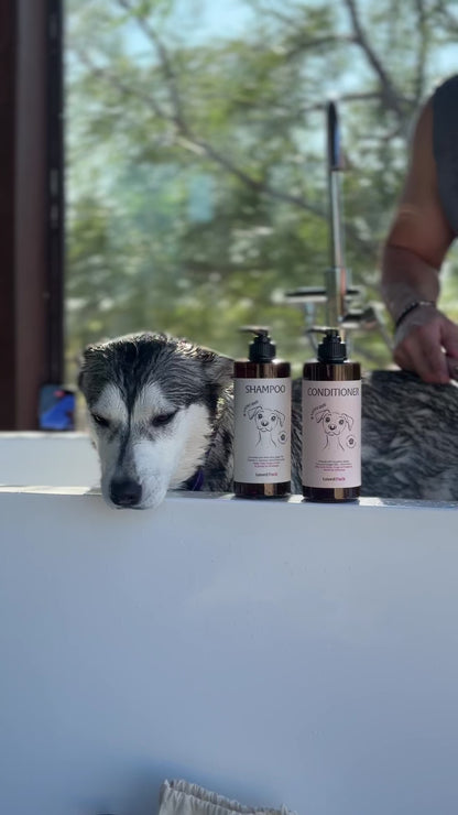 the ritual